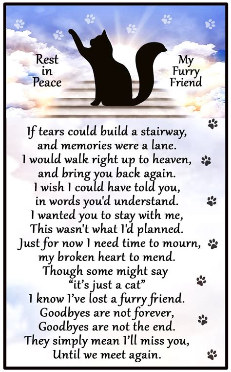 RIP Kitty .